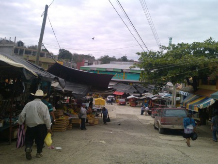 AREA DEL MERCADO